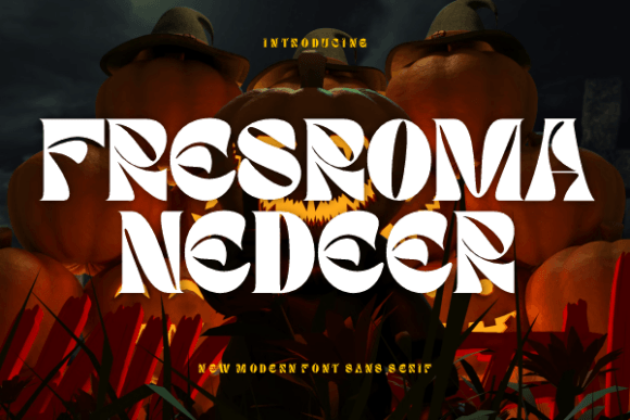 Mastering Fresroma Nedeer: The Art and Impact of Display Typography in Modern Design